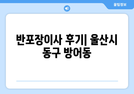 반포장이사 후기| 울산시 동구 방어동