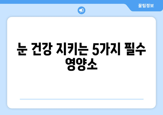 눈 통증 해결에 도움이 되는 영양제 5가지 | 눈 건강, 시력 개선, 눈 피로 해소