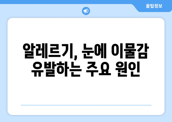 눈에 이물감을 유발하는 5가지 주요 원인 | 눈 건강, 안구 건조증, 먼지, 알레르기, 염증