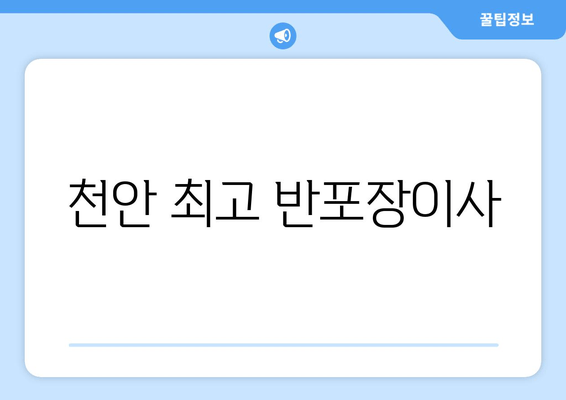 천안 최고 반포장이사