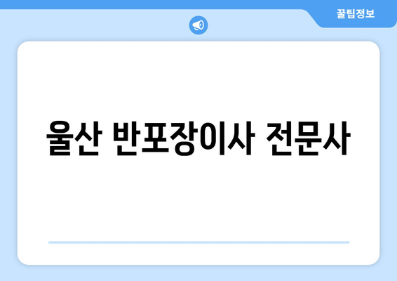 울산 반포장이사 전문사