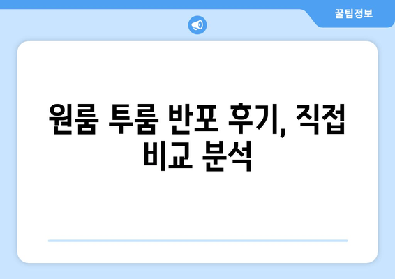 원룸 투룸 반포 후기, 직접 비교 분석