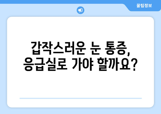 갑작스러운 눈 통증| 왼쪽/오른쪽 눈 주변 통증, 어떤 병원을 가야 할까요? | 눈 통증, 안과 전문의, 응급실, 진료