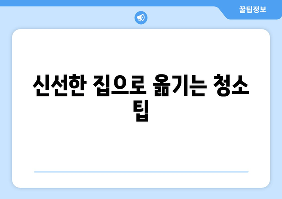 신선한 집으로 옮기는 청소 팁