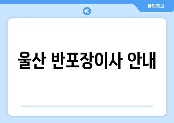 울산 반포장이사 안내