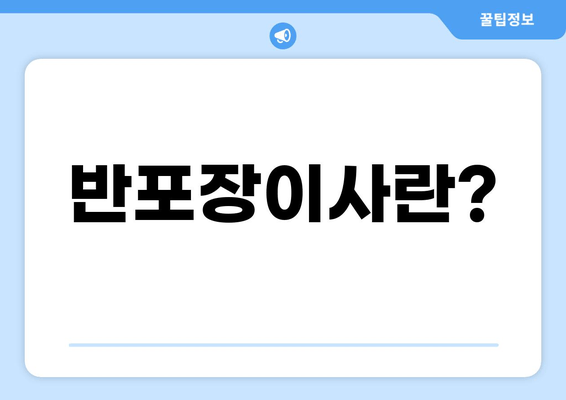 반포장이사란?