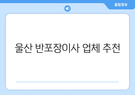 울산 반포장이사 업체 추천