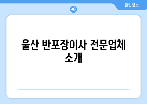 울산 반포장이사 전문업체 소개