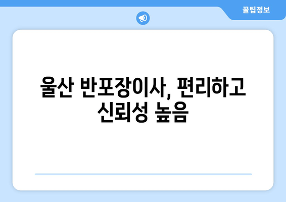 울산 반포장이사, 편리하고 신뢰성 높음