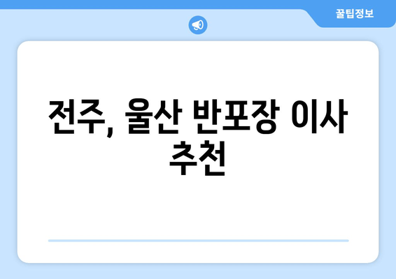 전주, 울산 반포장 이사 추천