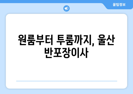 원룸부터 투룸까지, 울산 반포장이사