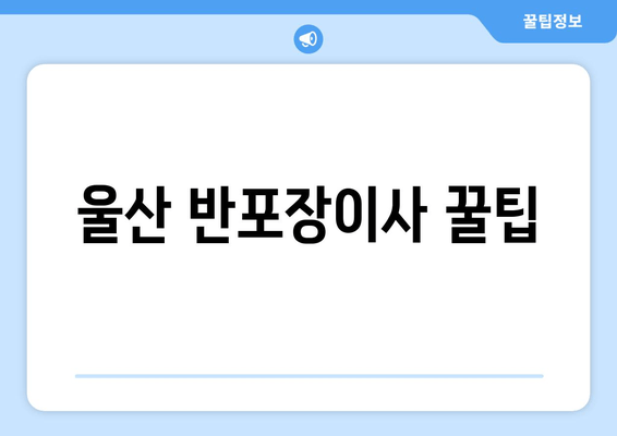 울산 반포장이사 꿀팁