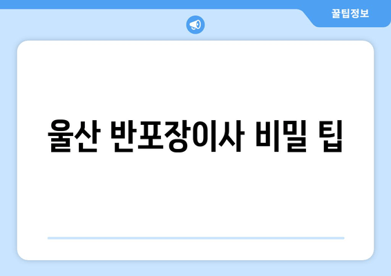 울산 반포장이사 비밀 팁