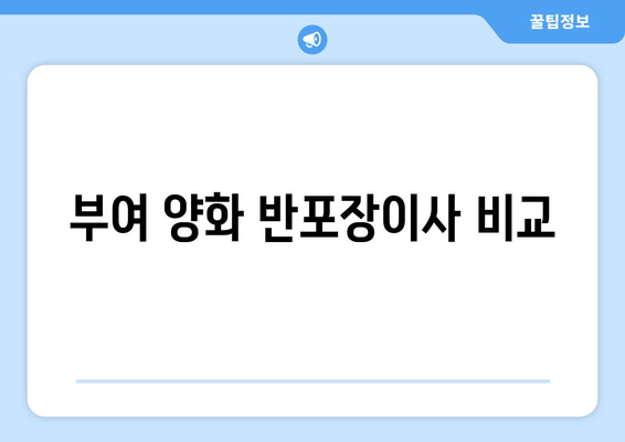 부여 양화 반포장이사 비교