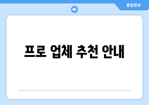 프로 업체 추천 안내