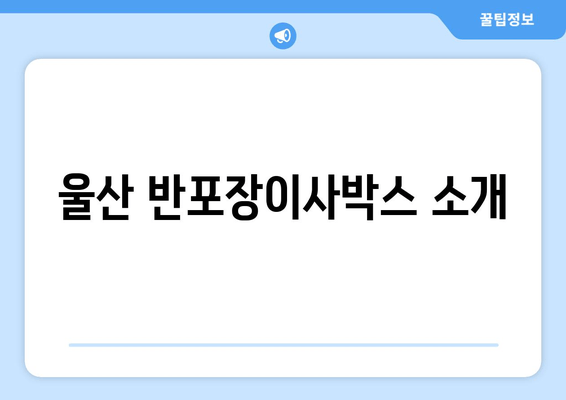 울산 반포장이사박스 소개