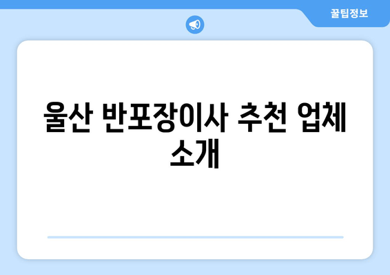 울산 반포장이사 추천 업체 소개