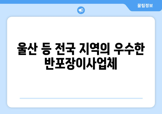 울산 등 전국 지역의 우수한 반포장이사업체