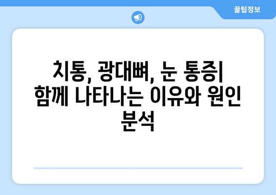 치통과 함께 찾아오는 광대뼈 & 눈 통증| 원인과 대처법 | 치통, 광대뼈 통증, 눈 통증, 원인, 대처, 해결