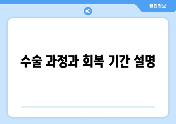 수술 과정과 회복 기간 설명