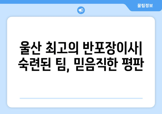 울산 최고의 반포장이사| 숙련된 팀, 믿음직한 평판