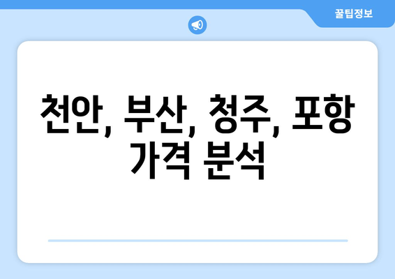 천안, 부산, 청주, 포항 가격 분석