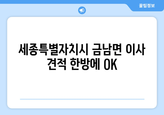 세종특별자치시 금남면 이사 견적 한방에 OK