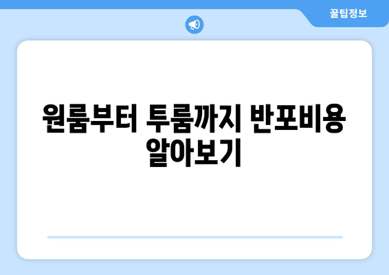 원룸부터 투룸까지 반포비용 알아보기