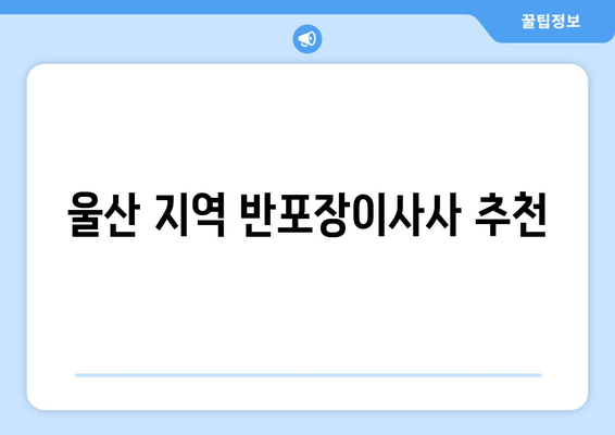 울산 지역 반포장이사사 추천