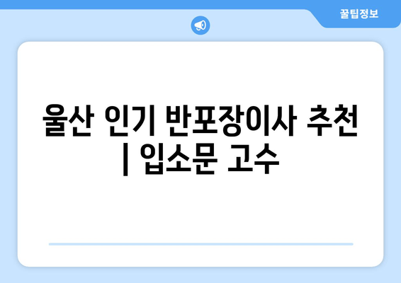 울산 인기 반포장이사 추천 | 입소문 고수