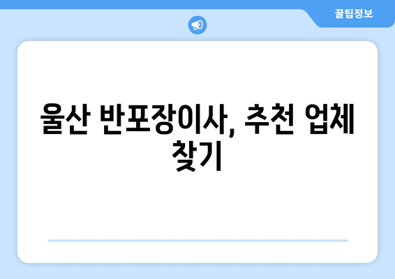 울산 반포장이사, 추천 업체 찾기