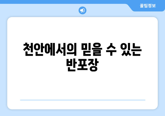 천안에서의 믿을 수 있는 반포장