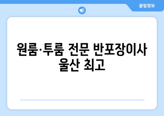 원룸·투룸 전문 반포장이사 울산 최고