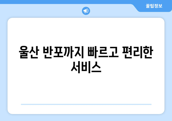 울산 반포까지 빠르고 편리한 서비스