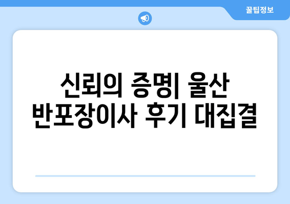 신뢰의 증명| 울산 반포장이사 후기 대집결