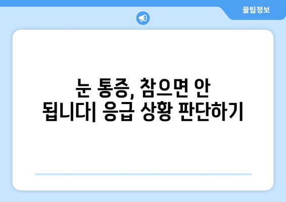 갑작스러운 눈 통증, 어디로 가야 할까요? | 눈 통증 치료, 병원 찾기, 응급처치