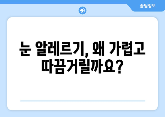 알레르기로 인한 눈 가려움, 통증, 부종| 원인과 해결책 | 눈 알레르기, 증상, 치료, 관리