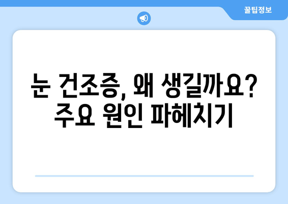 눈 건조증, 이제 걱정 뚝! 원인과 해결 방법 총정리 | 눈 건조증 증상, 예방법, 인공눈물