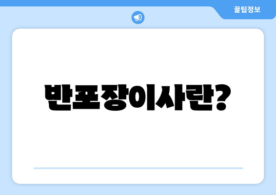 반포장이사란?