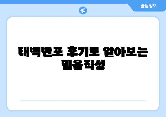 태백반포 후기로 알아보는 믿음직성