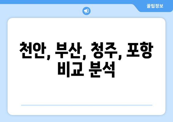 천안, 부산, 청주, 포항 비교 분석