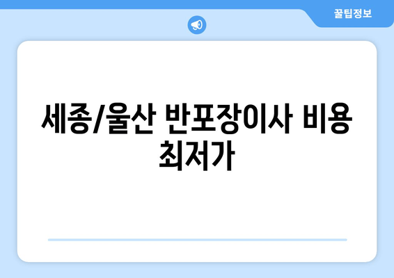 세종/울산 반포장이사 비용 최저가