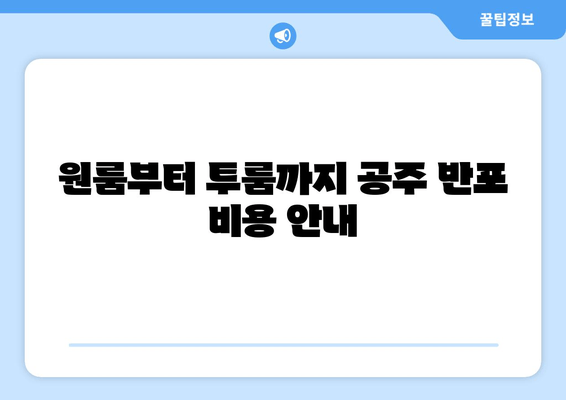 원룸부터 투룸까지 공주 반포 비용 안내