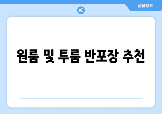 원룸 및 투룸 반포장 추천