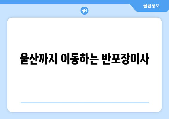 울산까지 이동하는 반포장이사