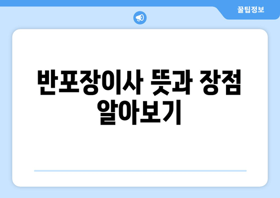 반포장이사 뜻과 장점 알아보기