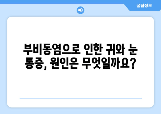 부비동염으로 인한 귀와 눈 통증, 어떻게 해야 할까요? | 부비동염, 귀 통증, 눈 통증, 대처법, 완화