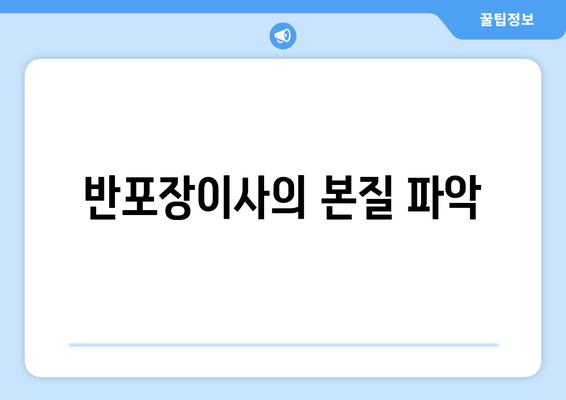 반포장이사의 본질 파악