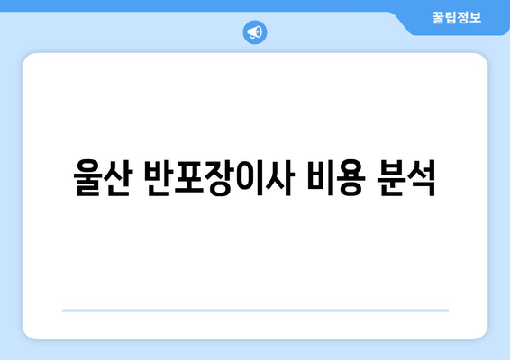 울산 반포장이사 비용 분석