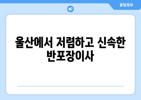 울산에서 저렴하고 신속한 반포장이사